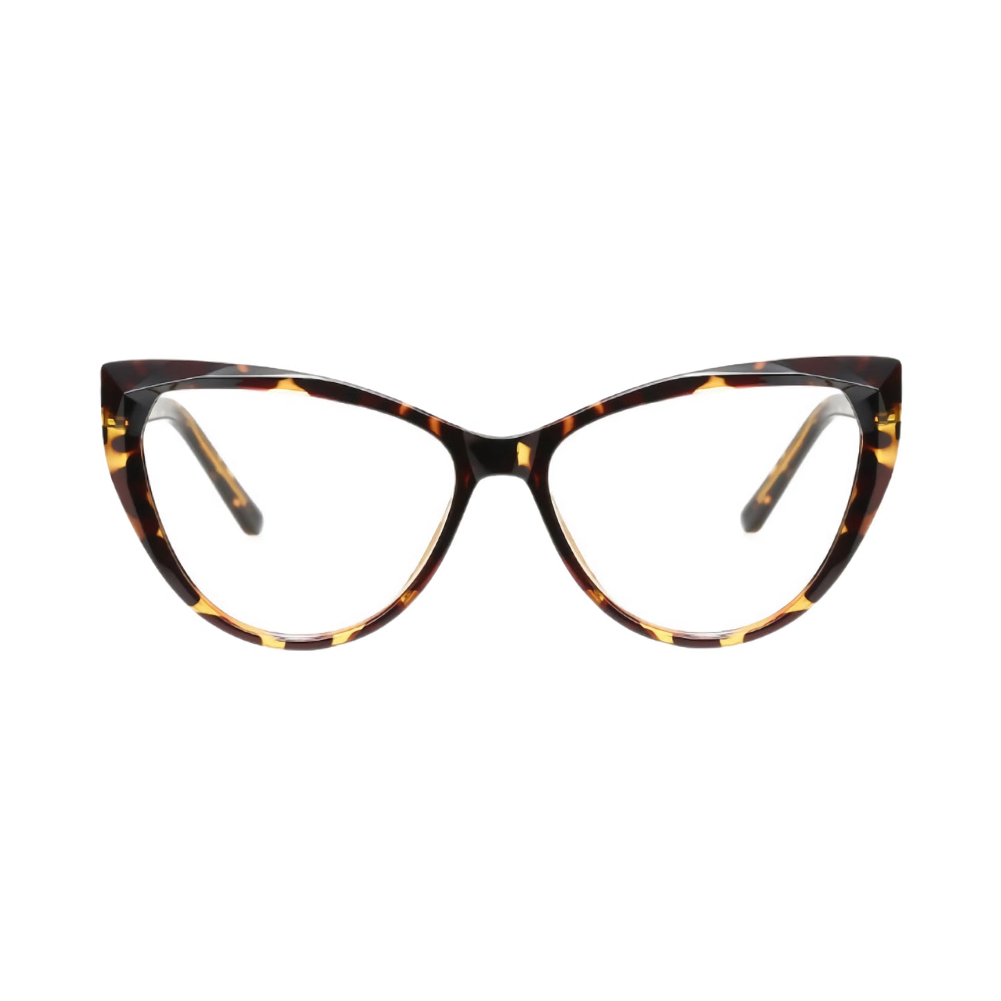 VisionGuard Pro