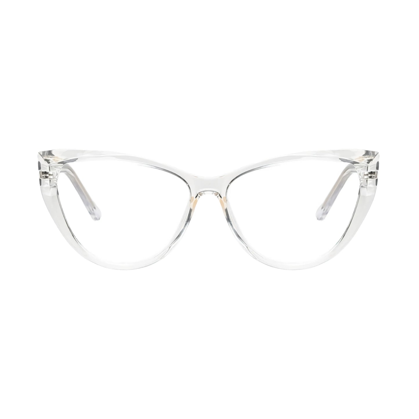 VisionGuard Pro